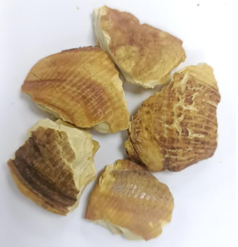 微信图片_2025-07-21_100935_918.png