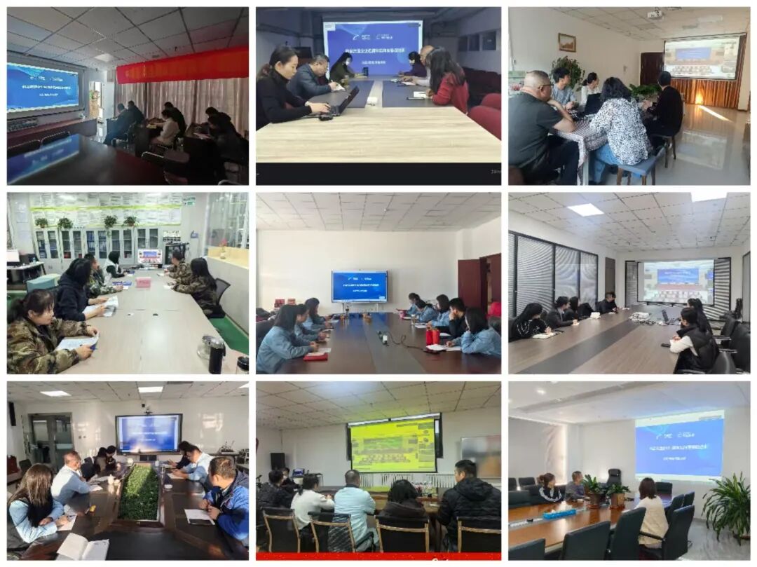 1767060624613096536.jpg 1767060624613096536.jpg