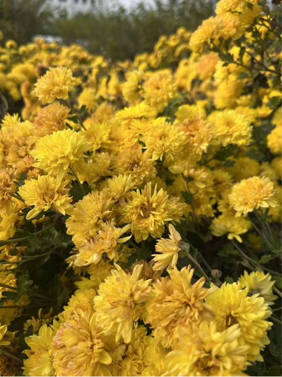 1773885812670054488.png 3.png